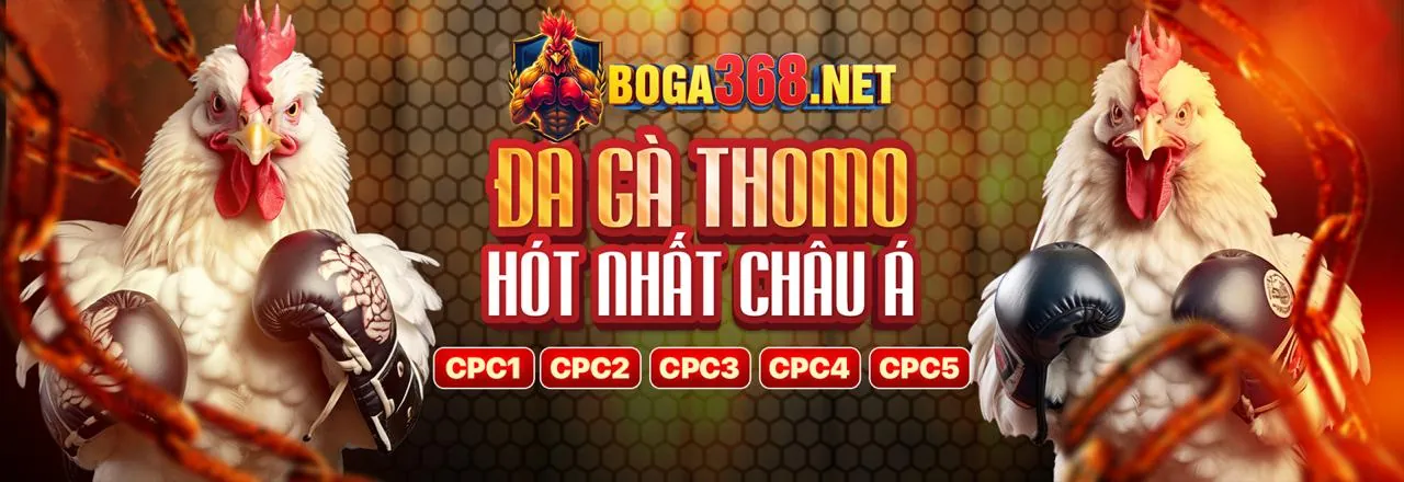 Đấu trường đá gà trực tiếp sôi động với người chơi đang đặt cược tại đá gà cam trực tiếp hôm nay