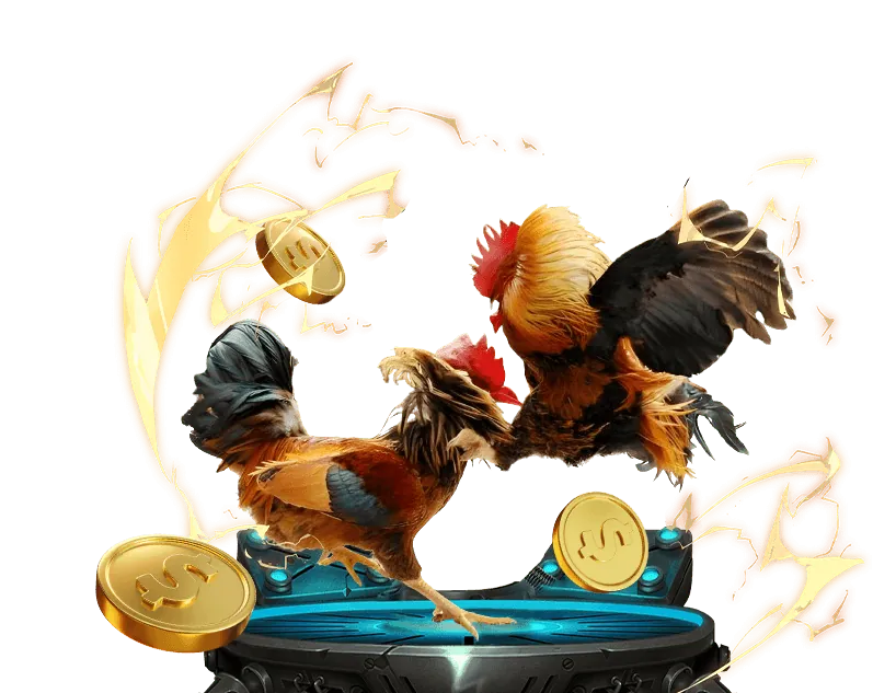 Trực tiếp đá gà, tỷ lệ cược cao